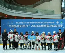 冰球公开赛掀起高潮，姑苏雷豹队逆转钱塘雄狮队，高压逼抢奏功——细节处理更胜一筹的简单介绍